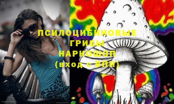 герыч Осинники